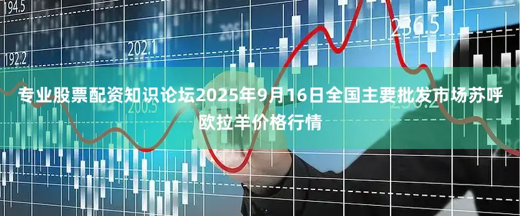 专业股票配资知识论坛2025年9月16日全国主要批发市场苏呼欧拉羊价格行情